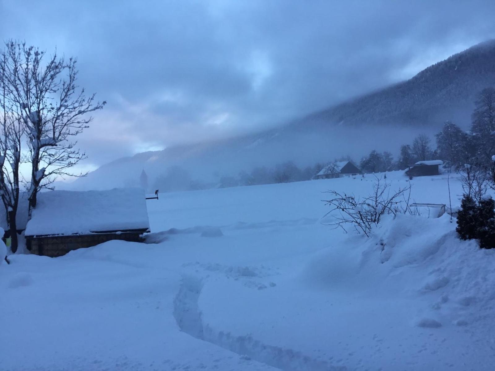 Apartments Koblar Kranjska Gora Pokoj fotografie